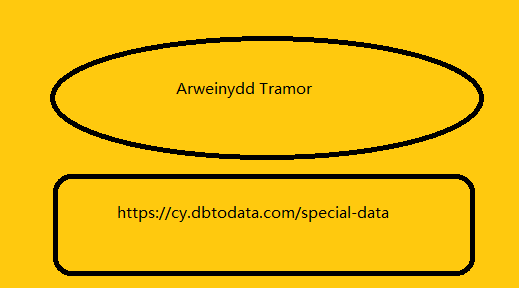 Arweinydd Tramor