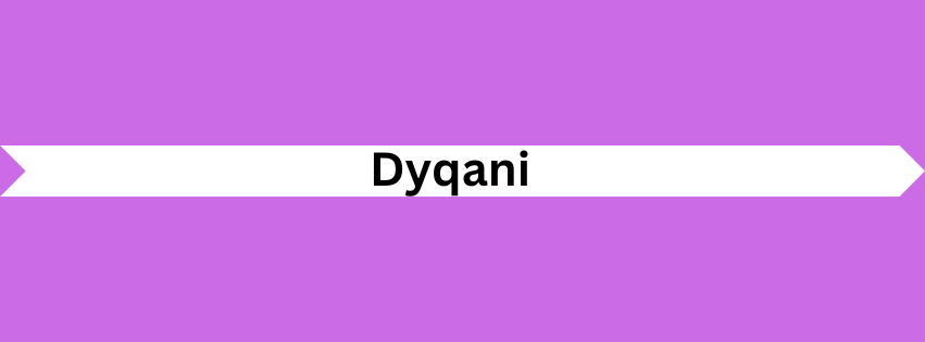 Dyqani